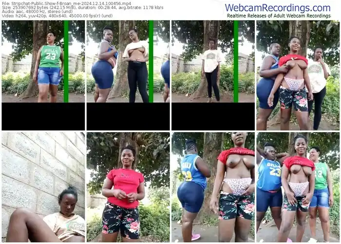 stripchat-broan_me-12-14-2024-10-04-56