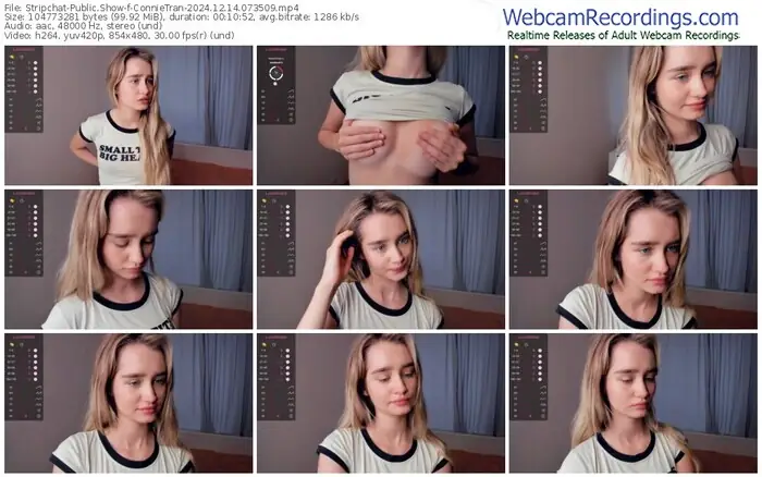 stripchat-connietran-12-14-2024-07-35-09