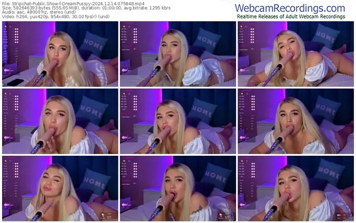 stripchat-dreampussyy-12-14-2024-07-58-48