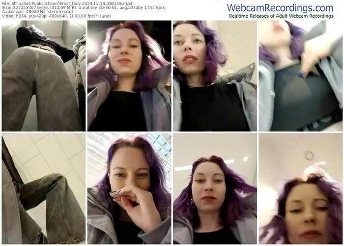 stripchat-frost_foxy-12-14-2024-08-01-09