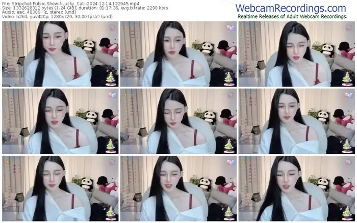 stripchat-lucky_cat--12-14-2024-12-29-45