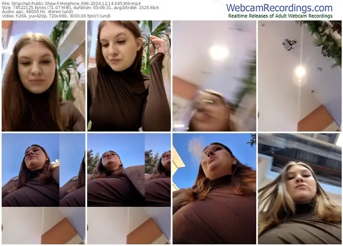 stripchat-morphine_666-12-14-2024-04-53-09