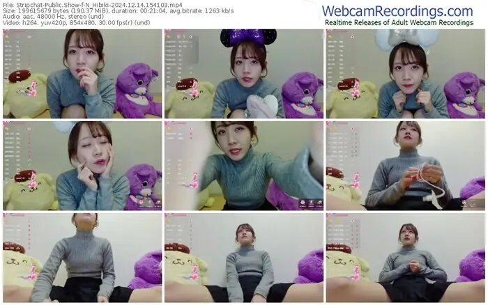 stripchat-n_hibiki-12-14-2024-15-41-03