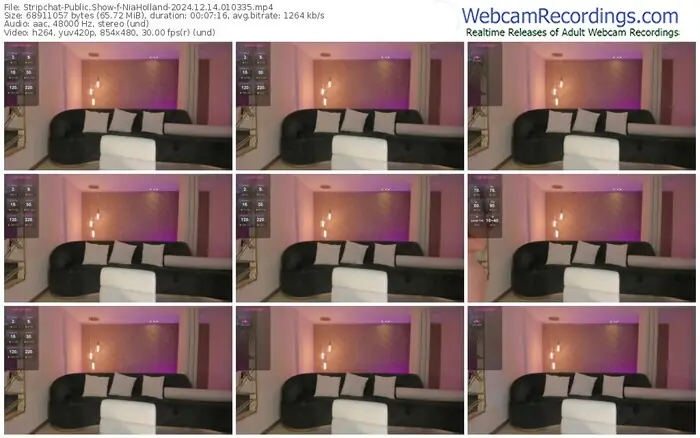 stripchat-niaholland-12-14-2024-01-03-35