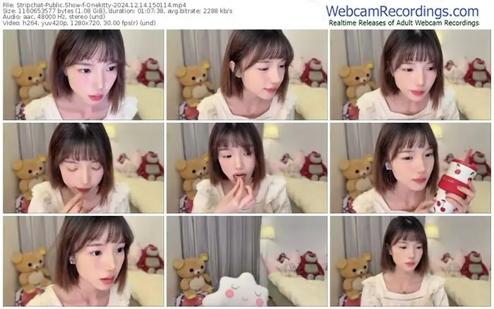 stripchat-onekitty-12-14-2024-15-01-14