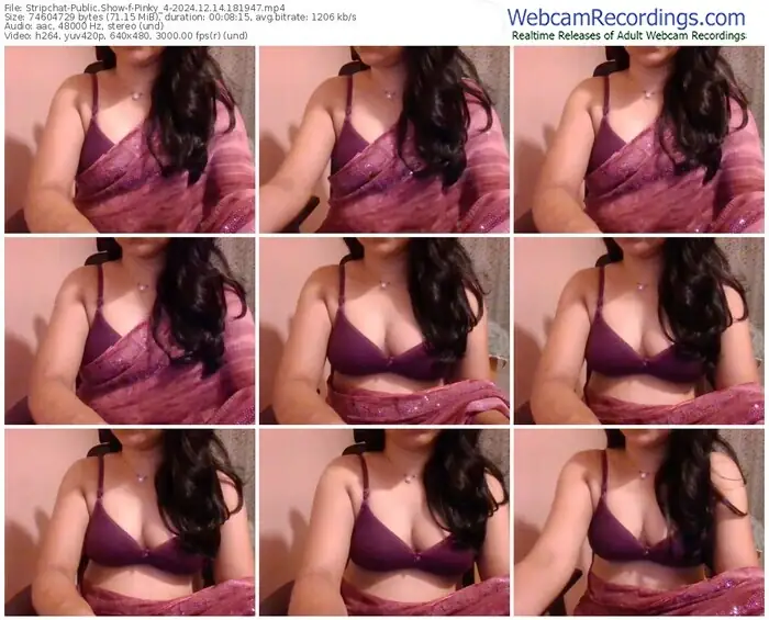 stripchat-pinky_4-12-14-2024-18-19-47