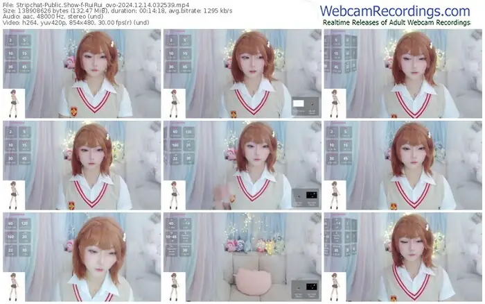 stripchat-ruirui_ovo-12-14-2024-03-25-39