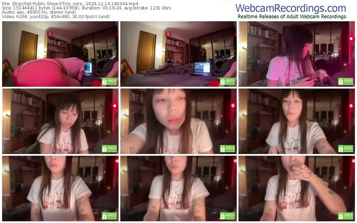 stripchat-tiny_sora_-12-14-2024-19-04-44