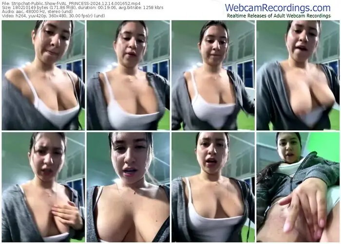 stripchat-val_princess-12-14-2024-00-16-52