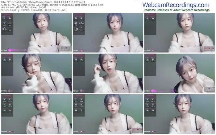 stripchat-vaerysaenz-12-14-2024-01-17-27