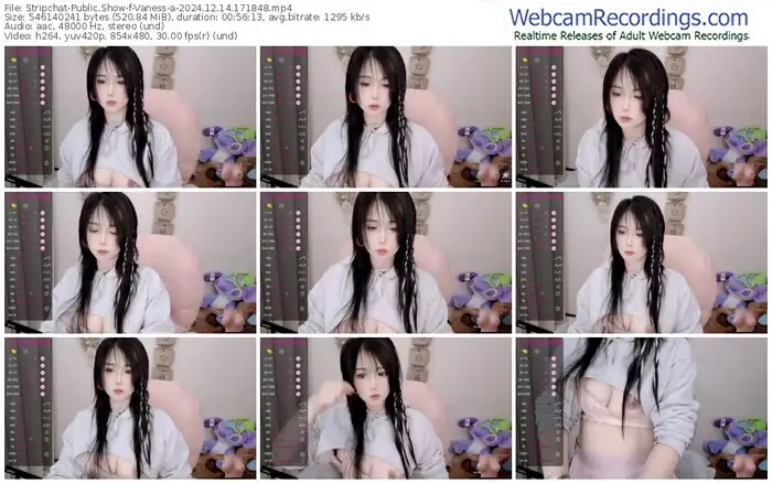 stripchat-vaness-a-12-14-2024-17-18-48