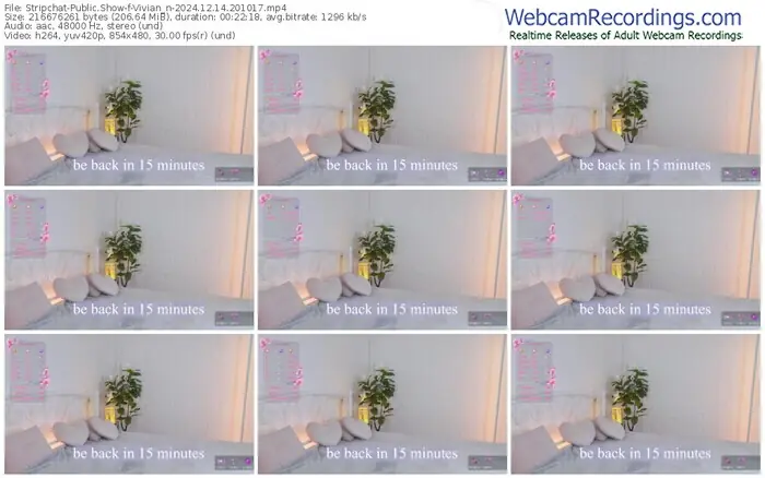 stripchat-vivian_n-12-14-2024-20-10-17