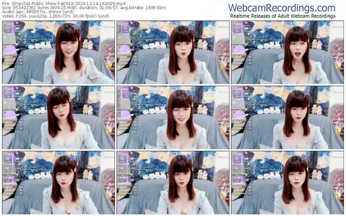 stripchat-a0513-12-14-2024-16-26-25