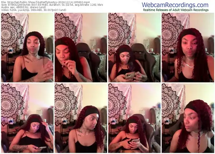 stripchat-butterflybootyy-12-14-2024-19-56-02