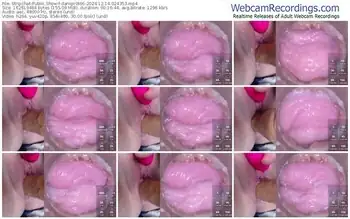 stripchat-danigirl866-12-14-2024-02-43-53