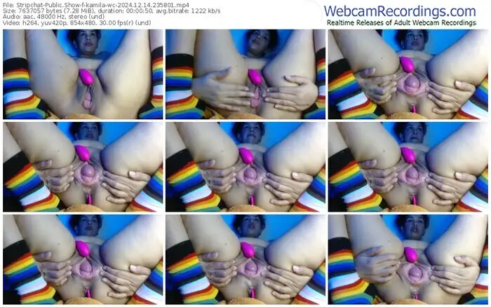 stripchat-kamila-wc-12-14-2024-23-58-01