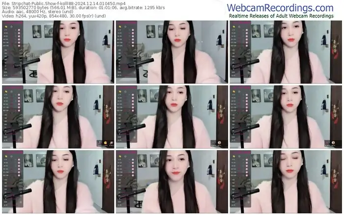 stripchat-kolll88-12-14-2024-01-04-50