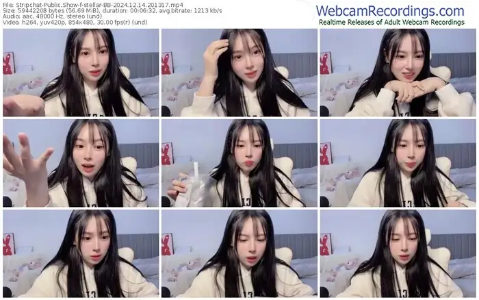 stripchat-stellar-bb-12-14-2024-20-13-17