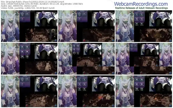 stripchat-z23002-12-14-2024-09-18-15