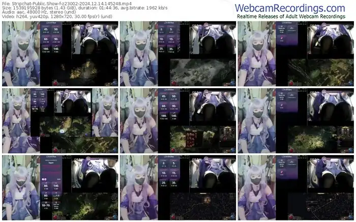 stripchat-z23002-12-14-2024-14-52-48