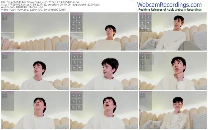 stripchat-ae_rum-12-14-2024-02-51-05