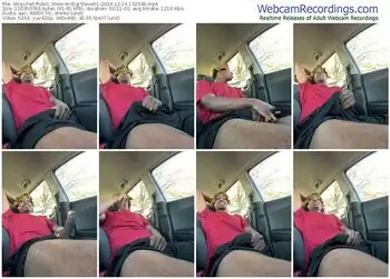 stripchat-big-steve01-12-14-2024-13-25-46