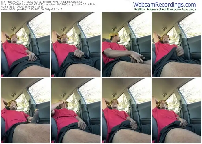 stripchat-big-steve01-12-14-2024-13-25-46