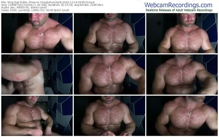 stripchat-cloudymuscle28-12-14-2024-09-35-16