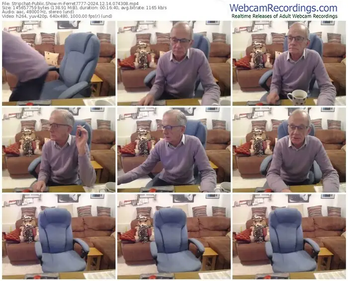 stripchat-ferret7777-12-14-2024-07-43-08