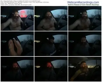 stripchat-redfurr69-12-14-2024-00-25-03