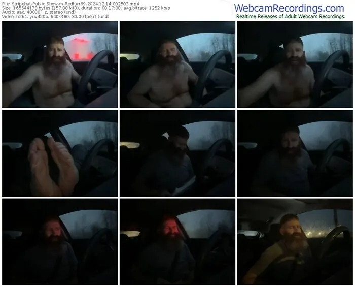 stripchat-redfurr69-12-14-2024-00-25-03