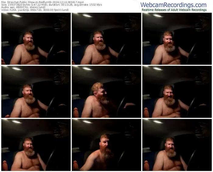 stripchat-redfurr69-12-14-2024-06-34-17