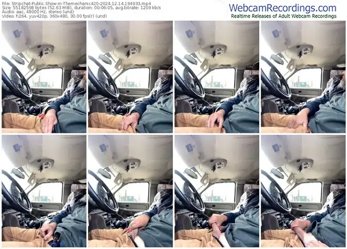 stripchat-themechanic420-12-14-2024-19-49-33