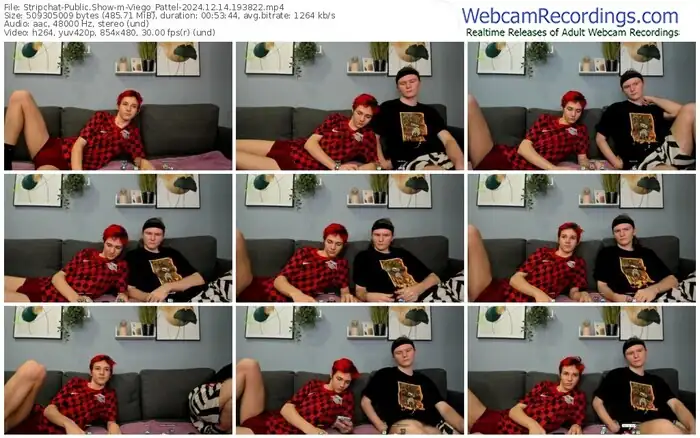 stripchat-viego_pattel-12-14-2024-19-38-22