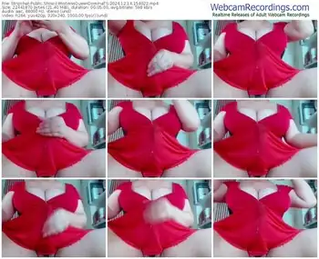 stripchat-mistressqueendominats-12-14-2024-15-40-22