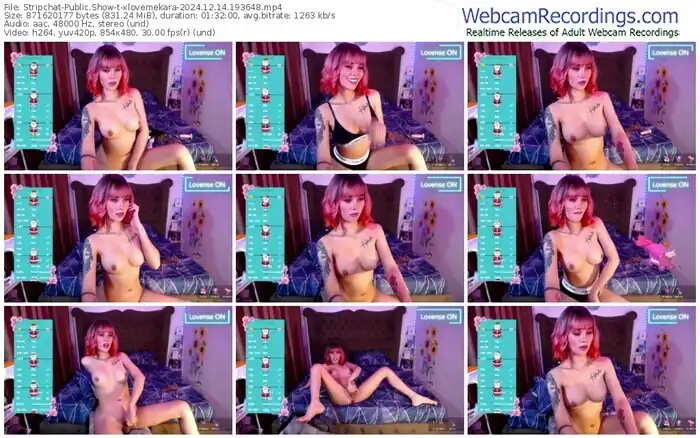 stripchat-xlovemekara-12-14-2024-19-36-48