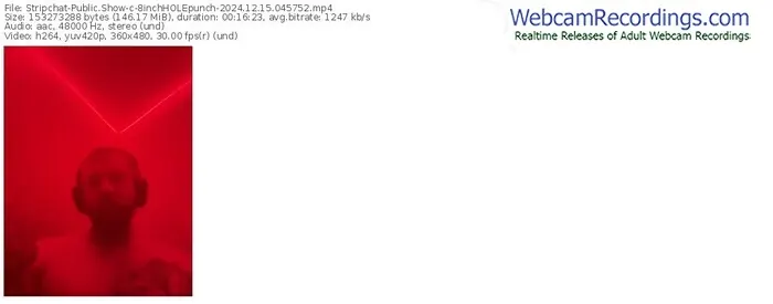 stripchat-8inchholepunch-12-15-2024-04-57-52