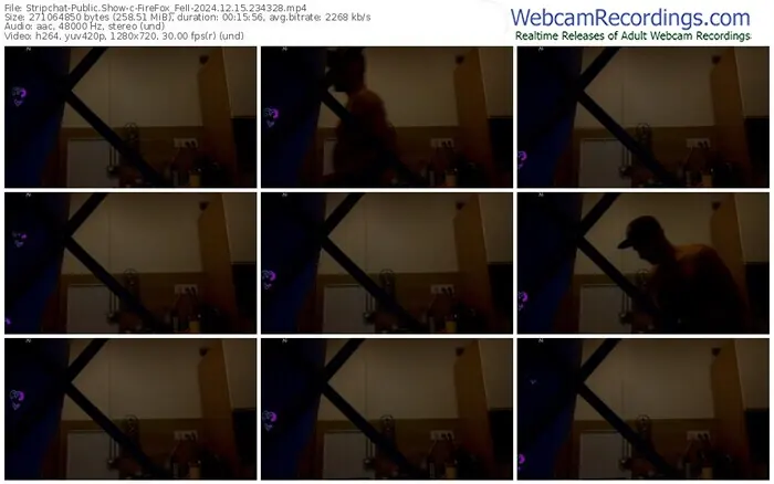 stripchat-firefox_feii-12-15-2024-23-43-28