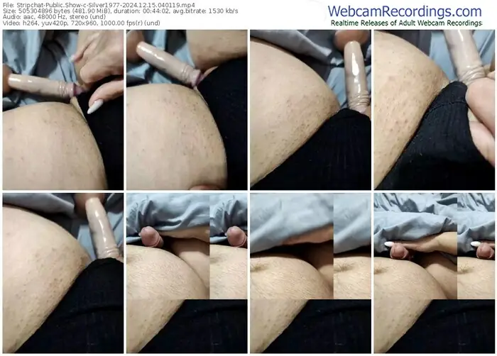 stripchat-silver1977-12-15-2024-04-01-19