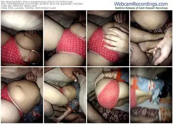 stripchat-menakshiiikaur-12-15-2024-15-31-55