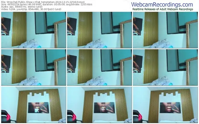 stripchat-that_temptation-12-15-2024-22-54-19