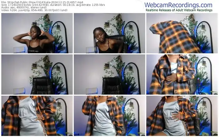stripchat-9143lela-12-15-2024-01-46-57
