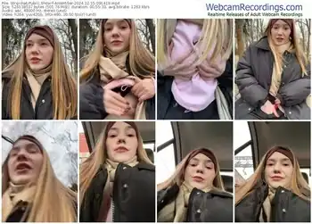 stripchat-aniemiller-12-15-2024-09-14-19