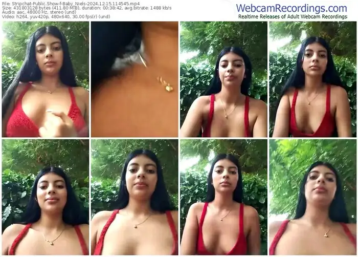 stripchat-baby_niels-12-15-2024-11-45-45