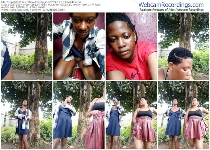 stripchat-broan_me-12-15-2024-09-47-42