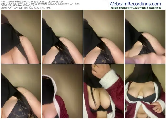 stripchat-cameelia-12-15-2024-04-07-35