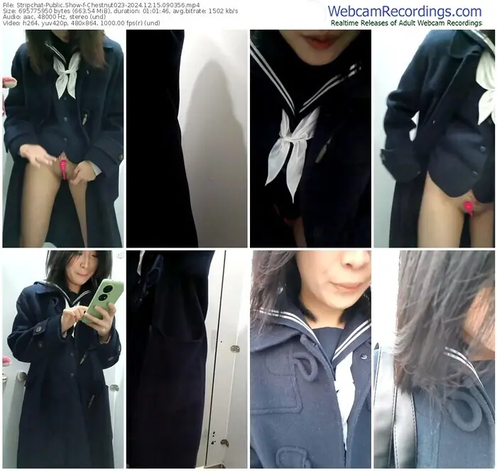 stripchat-chestnut023-12-15-2024-09-03-56