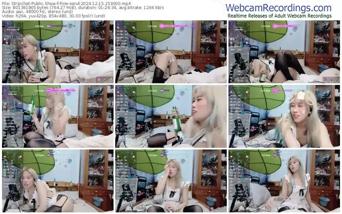stripchat-fine-sand-12-15-2024-15-36-00