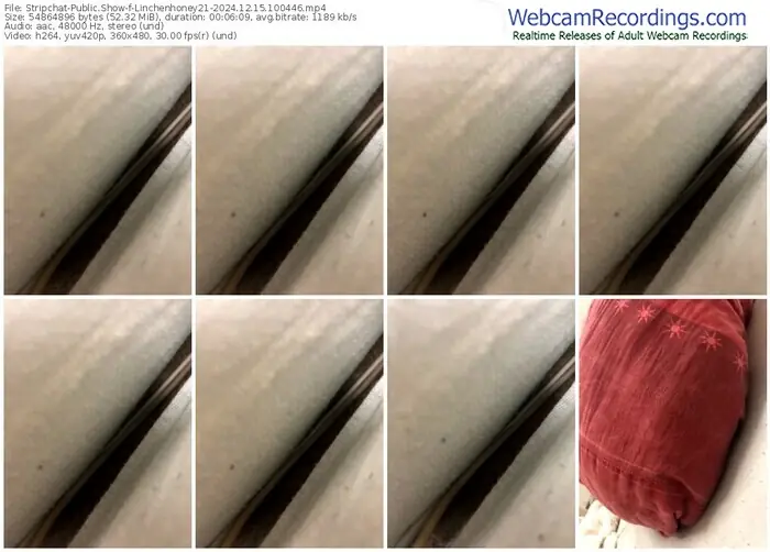 stripchat-linchenhoney21-12-15-2024-10-04-46