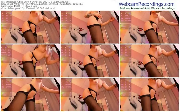 stripchat-shiroheby-12-15-2024-18-21-21